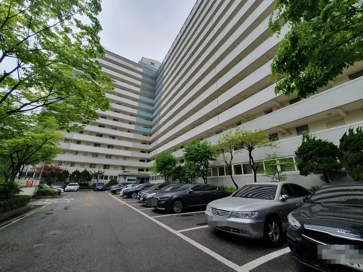 지상 주차장을 따라 선 동