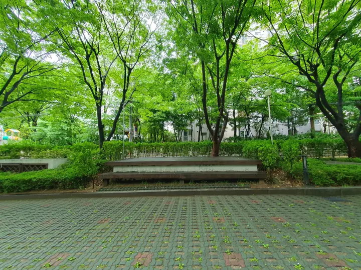 벤치를 둔 나무 그늘 쉼터