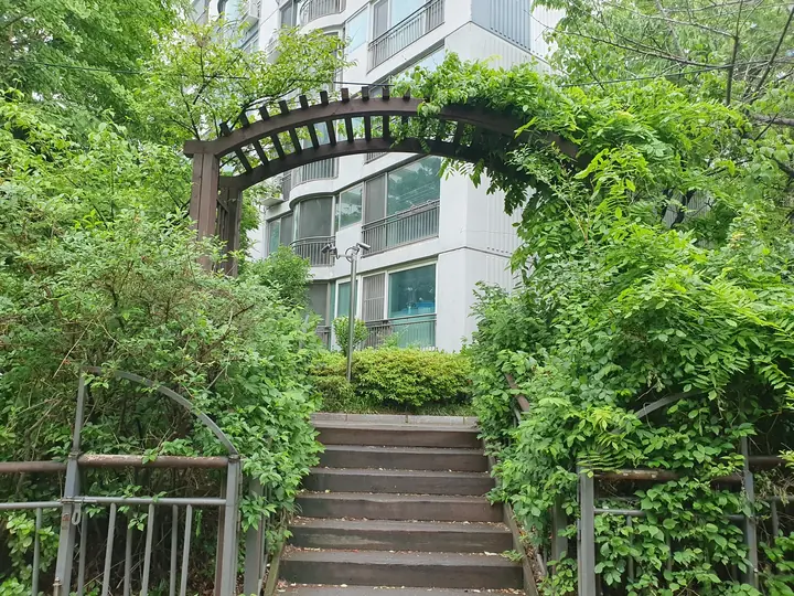 넝쿨 아치를 지나는 계단