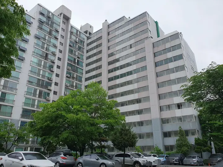나무 너머 올려다본 동