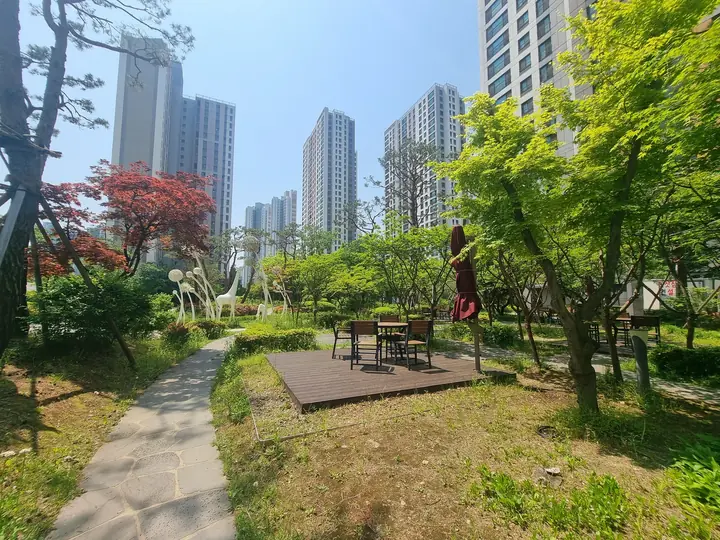 단풍나무 정원 속 데크 테이블