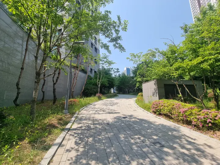 나무 사이로 이어지는 외곽 산책로