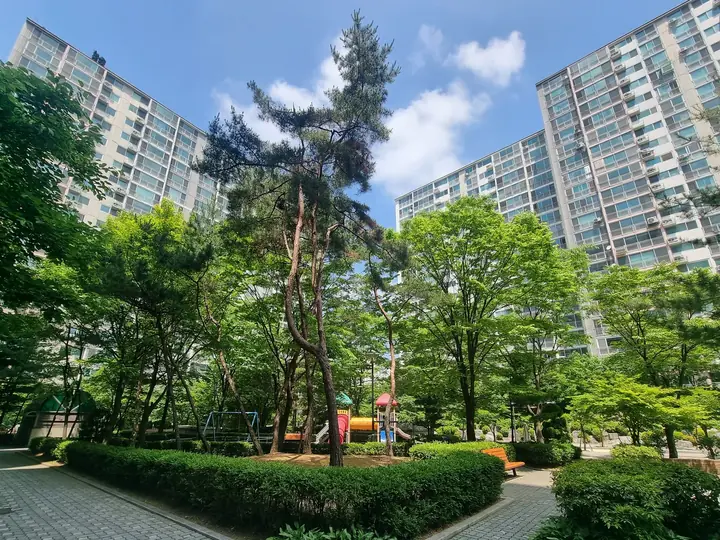 나무 사이로 난 산책로